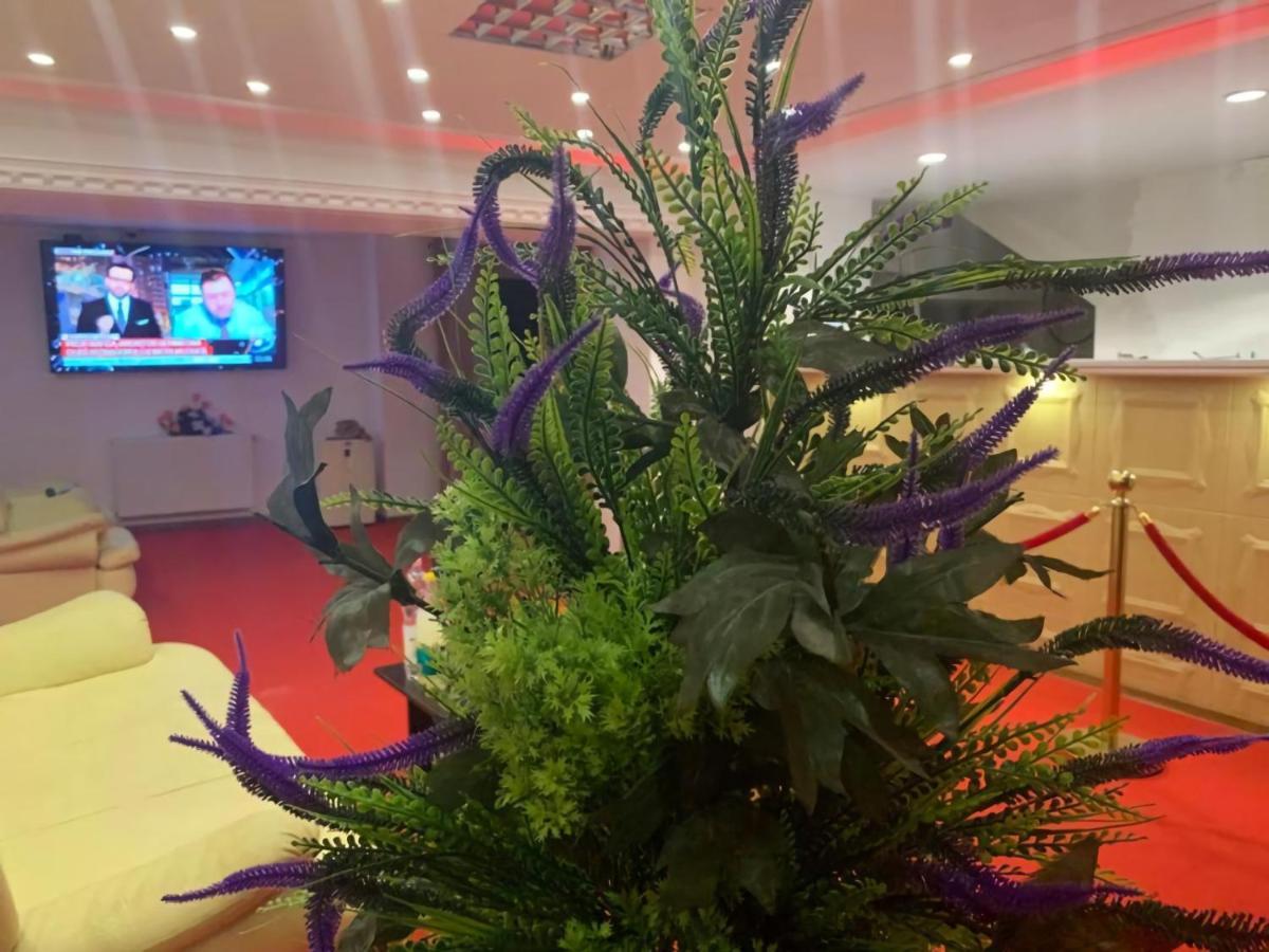 Karra Hotels Voluntari Luaran gambar